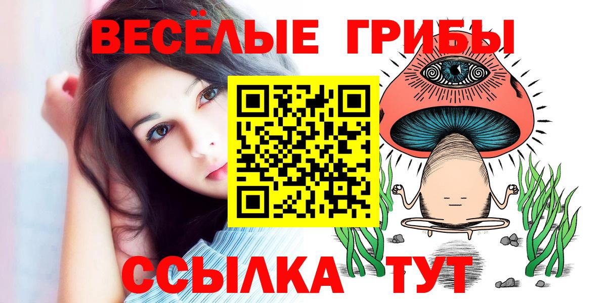 где найти наркотики  Вход с VPN  Свободный  Псилоцибиновые грибы ЛСД 
